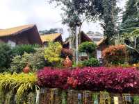 โรงแรมเก่าแก่ที่สุดบนดอยแม่สลอง เชียงราย