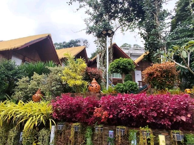 โรงแรมเก่าแก่ที่สุดบนดอยแม่สลอง เชียงราย