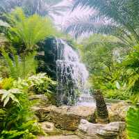 U Forests Cafe @ระยอง