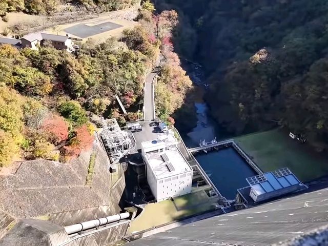 東京周邊小眾秘境｜奧多摩湖四季絕景攻略🍁