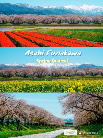 Asahi Funakawa Spring Quartet, Toyama | Trip.com Asahi
