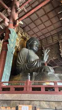 世界最大木造建築 日本三大佛 - 東大寺