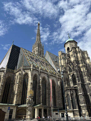 The Heart of Vienna | Stepping into a Medieval Gothic Epic: St. Stephen's Cathedral .