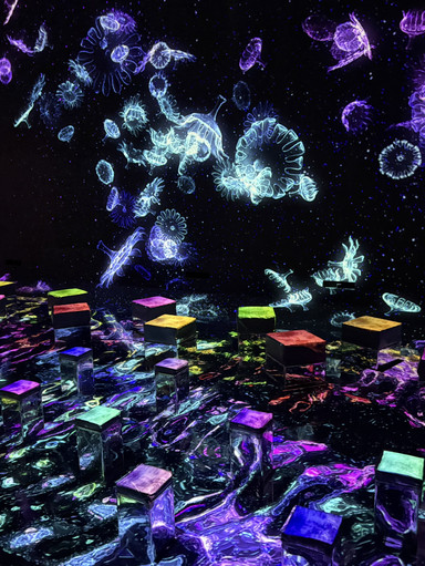 Experience the Digital Art World of teamLab Tokyo. | Trip.com Tokyo