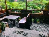 CAFE WITH GREAT AMBIANCE. 