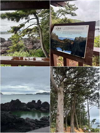 [제주/서귀포] 제주 올레길 숨은 명소, 소천지에서 만난 조용한 바다 풍경