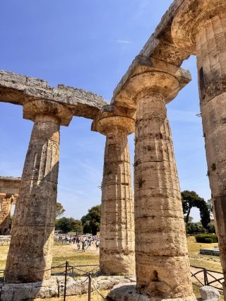 ซากปรักหักพัง Paestum เปล่งประกาย✨