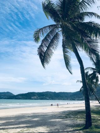 Chaweng: The Aesthetics and Rhythm of Samui’s Most Popular Beach | 🇹🇭🌴🌊