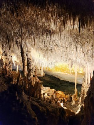 🏷️ [Mallorca Must-See] A Classical Music Concert in the Underground Lake, Enjoying 'Drac Cave' 100%!
