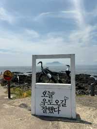 제주도보다 더 제주도 같은 곳? 에메랄드빛 우도 여행 코스