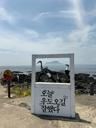 제주도보다 더 제주도 같은 곳? 에메랄드빛 우도 여행 코스