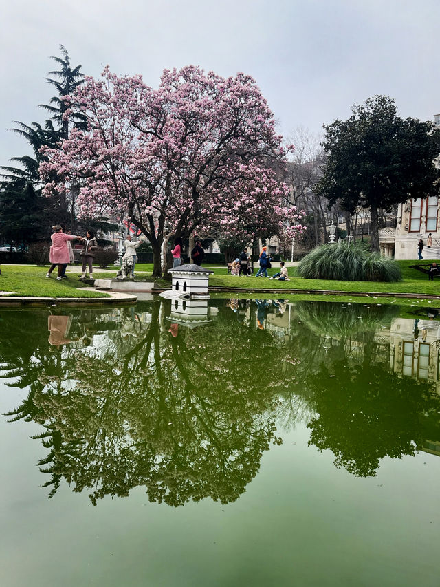 🌸🇹🇷ISTANBUL’S MAGNOLIA SECRET? SAVE THIS PLACE FOR SPRING