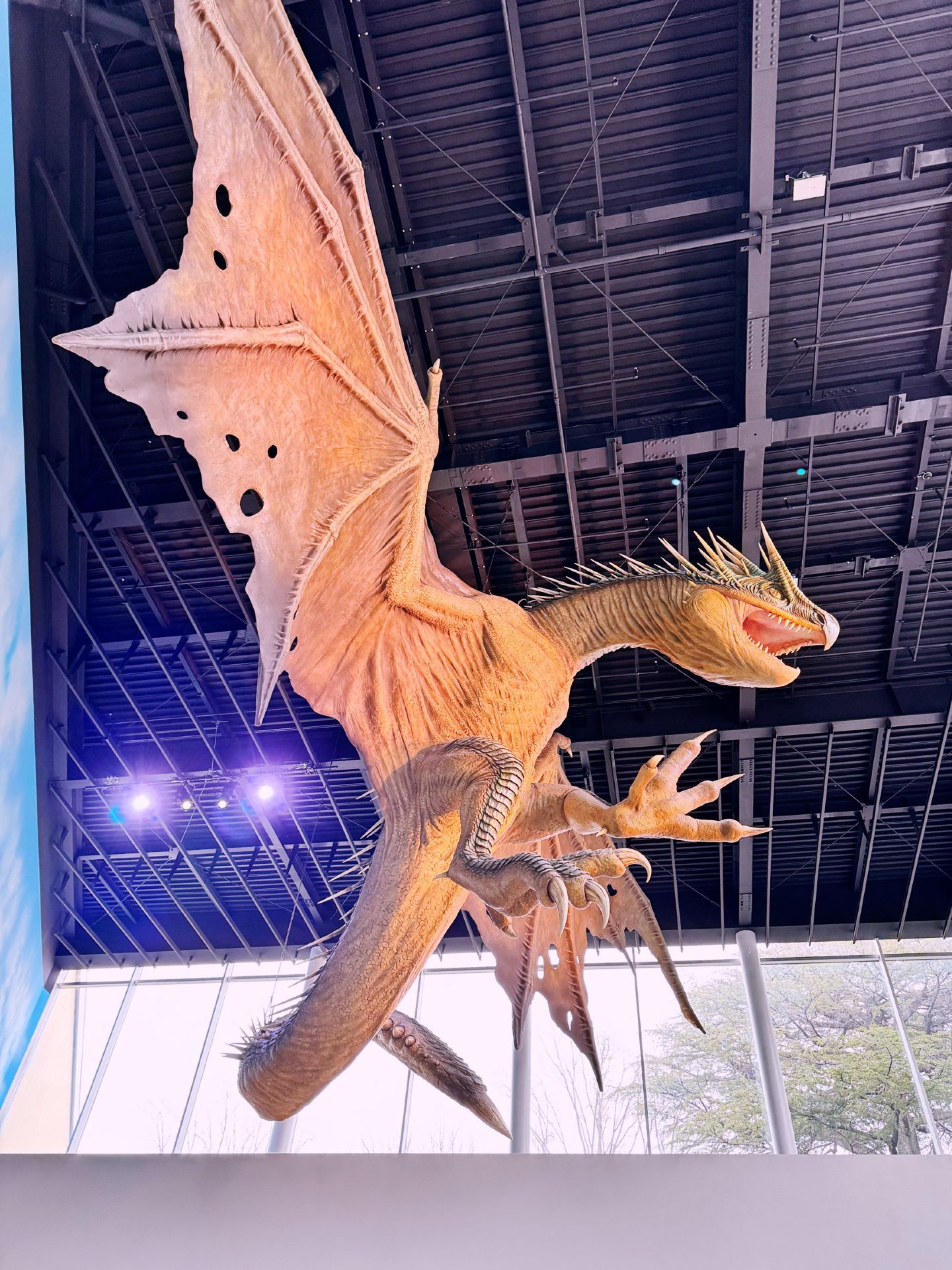 Harry Potter Studio Tour Japan: Part 1—A Magical Journey Begins! 🏰✨