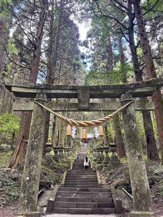 Kumamoto & Miyazaki inter-prefecture day trip ❤️
