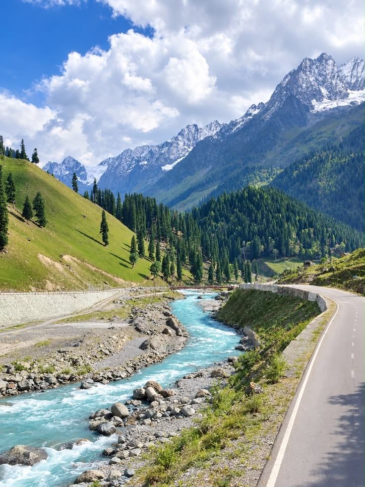 Kashmir Is Too Beautiful Once Is Not Enough : Repeat Destination