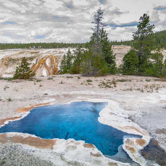 The Old Faithful @ Yellowstone National Park