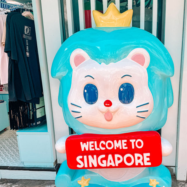 The colourful streets of Singapore 