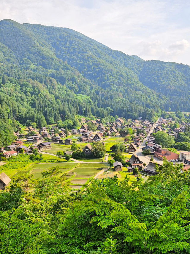 시라카오구: 일본 중심부에 위치한 매력적인 마을 🏠🌾
