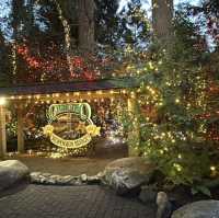 capilano suspension bridge 