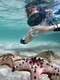 Starfish Paradise in Balabac 