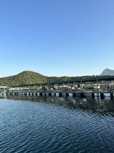 🇭🇰 魚排上的情人節