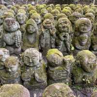 Kyoto and around!