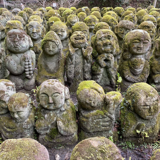Kyoto and around!