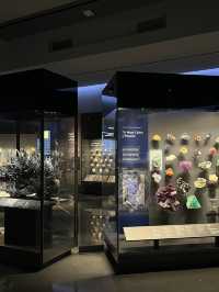 人気映画night museum のロケ地？！アメリカ自然史博物館
