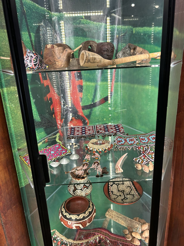 🪷世界初のアヤワスカ博物館へ🇵🇪ペルー【タラポト】