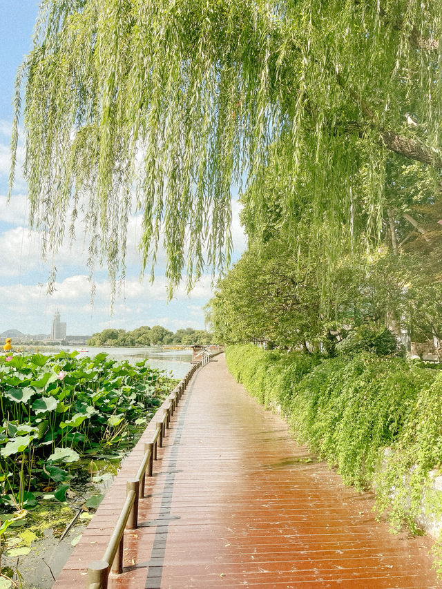 Peaceful Afternoon at Xuanwu Lake 🌿✨