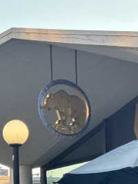 11 月去 UC Berkeley 逛一天其實滿剛好的。