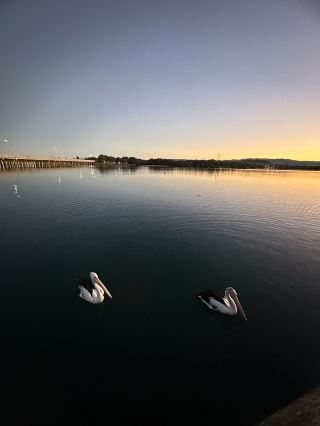Two-day, one-night recommendation near Sydney | Windang: a slow-paced getaway featuring lake views, pelicans, sunsets, a large amusement park, and delicious food all in one place.