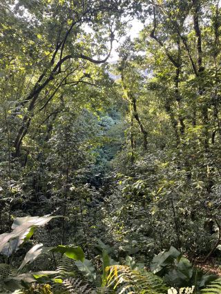 聖文森特島上最棒的自然步道之一 