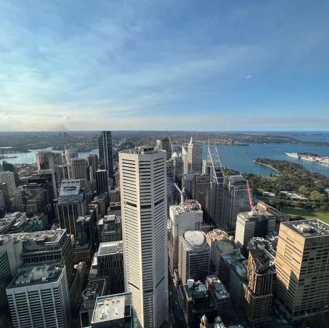 Must Visit: Sydney Tower Eye 🇦🇺