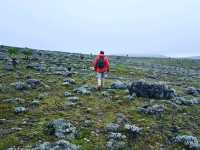 Bale Mountains Brilliant Tours | Trekking Hiking