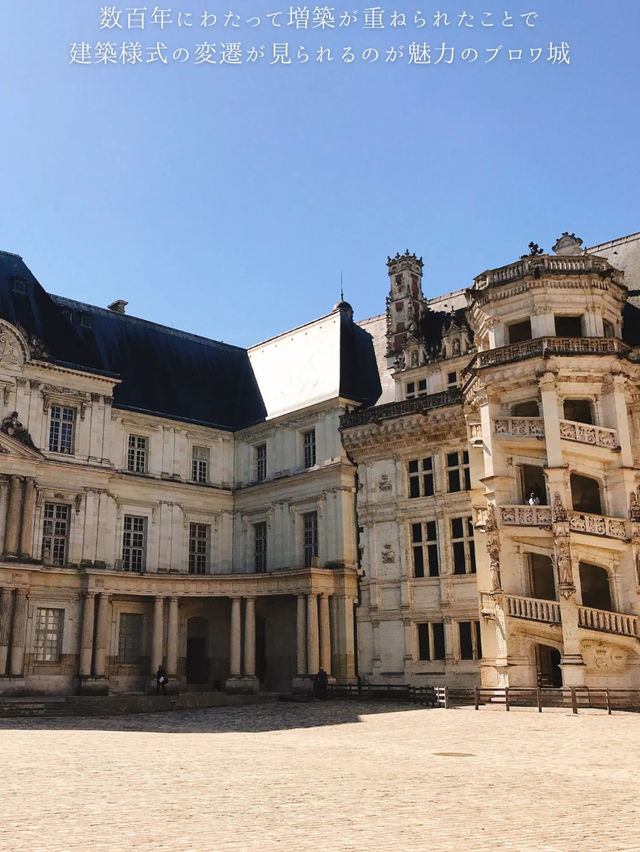 【ロワール渓谷/フランス】2023年思い出に残った親子旅　ロワール古城巡り