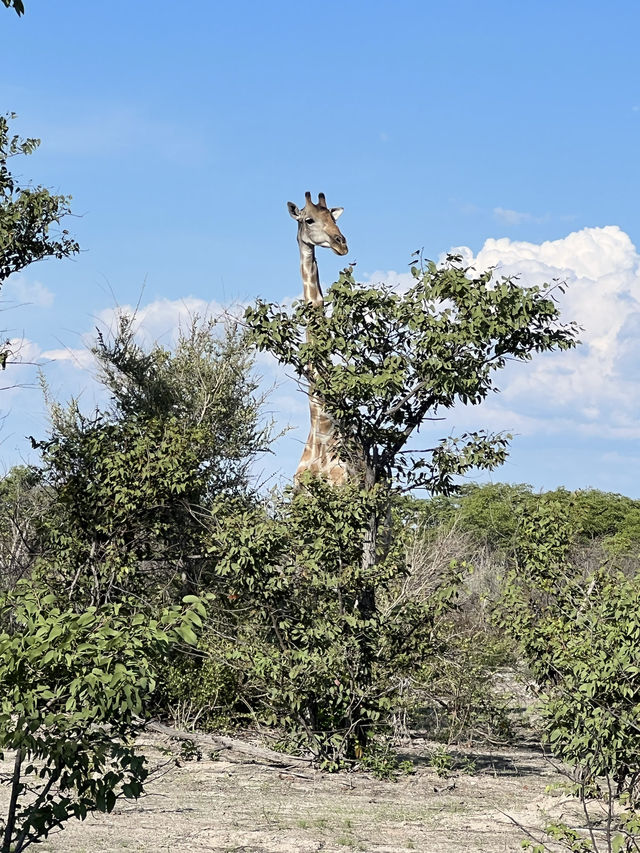 Namibia - A Truly Unique Adventure 