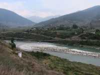 The Serene Splendor of Bhutan's Punakha Dzong