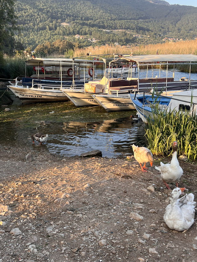 Turkey: Akyaka short boat trip⛵️