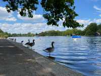 Hyde Park: London's Verdant Heart 🌳🚣‍♂️ 