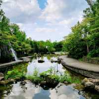 🌸國營瀧野鈴蘭丘陵公園🌸一整片鬱金香花海