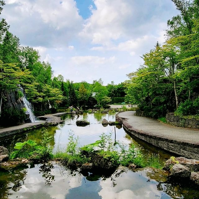 🌸國營瀧野鈴蘭丘陵公園🌸一整片鬱金香花海