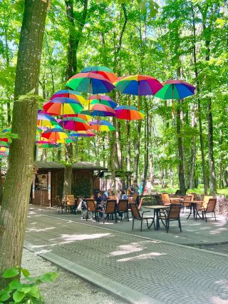 Edenland Park: A Place to Enjoy Nature with Kids
