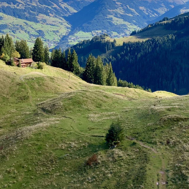 A Hidden Gem for Summer Adventures ☀️