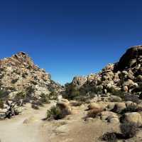 Joshua Tree: U2 can visit 