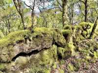 Peneda-Gerês National Park - Portugal