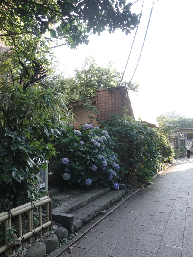🇯🇵東京近郊江之島 絕美海岸線海鮮午餐