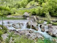 Swiss Hikes