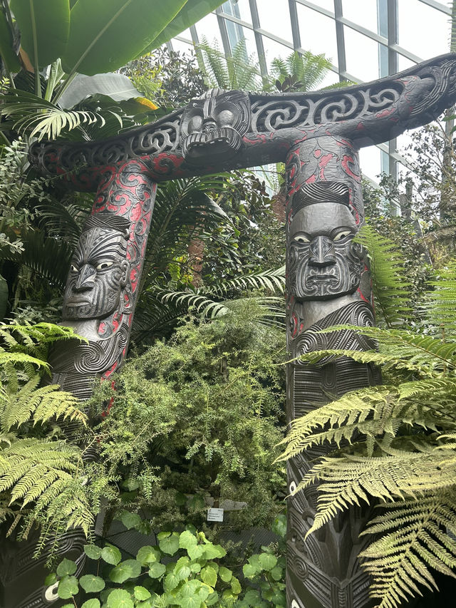🌿✨ Cloud Forest Singapore: A Misty Wonderland in the Tropics