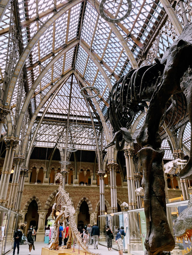 London Day Trip to Pitts Rivers Museum